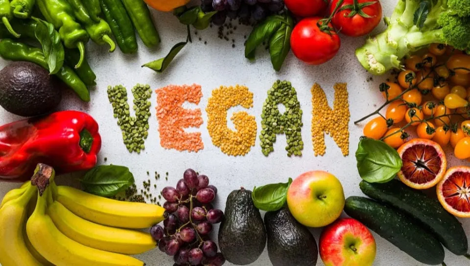 Vegan Meal Delivery