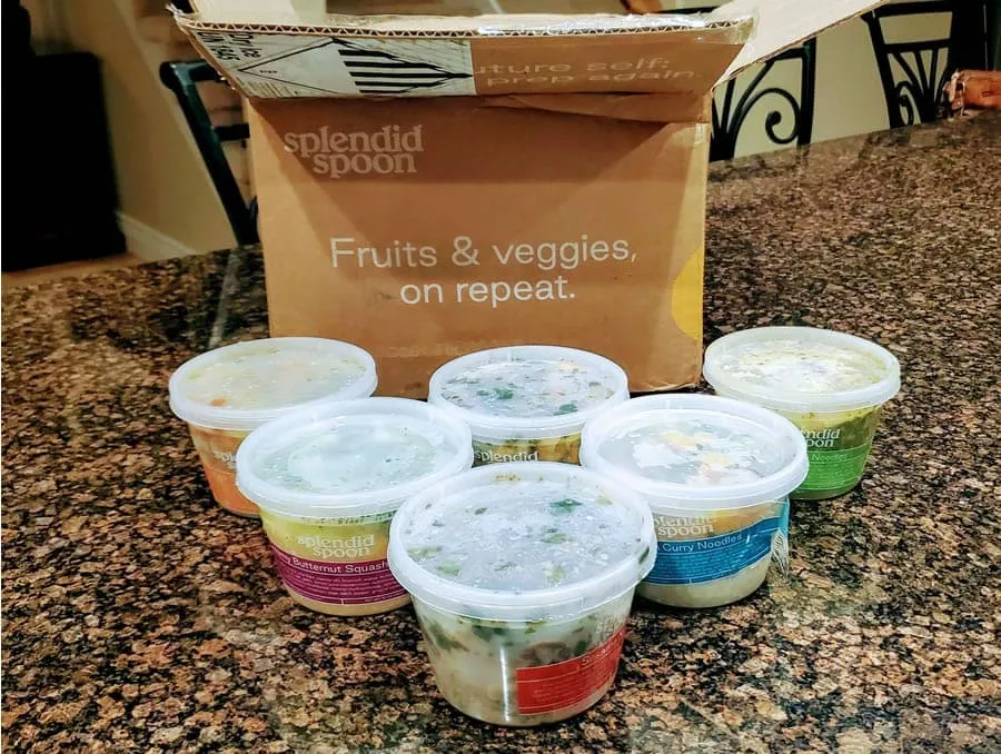 splendid spoon noodles