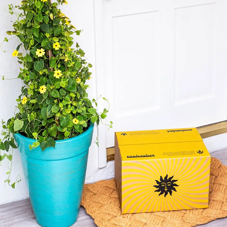 1. How Long Can Sun Basket Last On Doorstep?