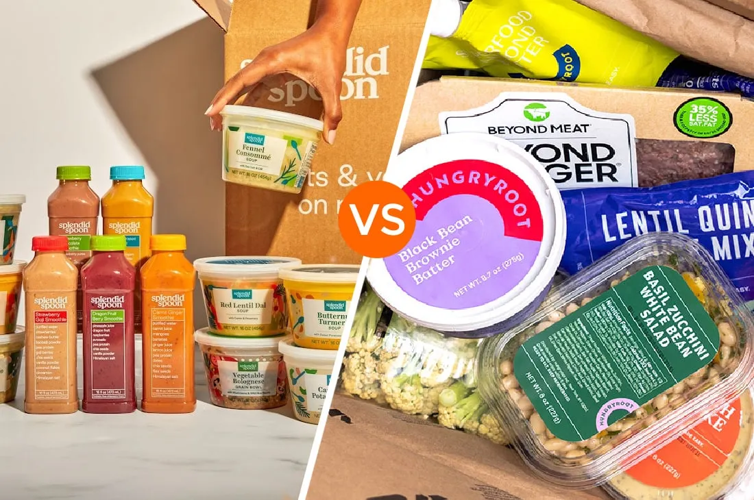 Splendid Spoon Vs Hungryroot Box