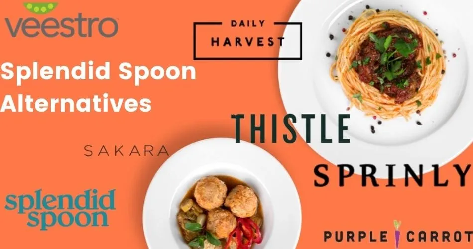 splendid spoon alternatives
