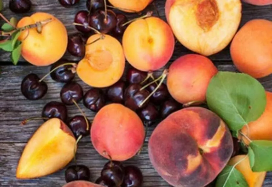 Frog Hollow Farm Fruit