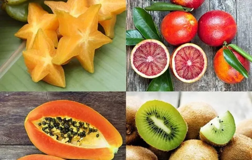 The Fruit Company HarvestClub Exotica