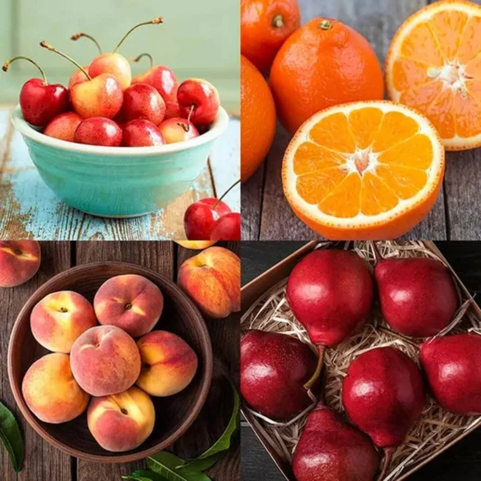 The Fruit Company HarvestClub Medley