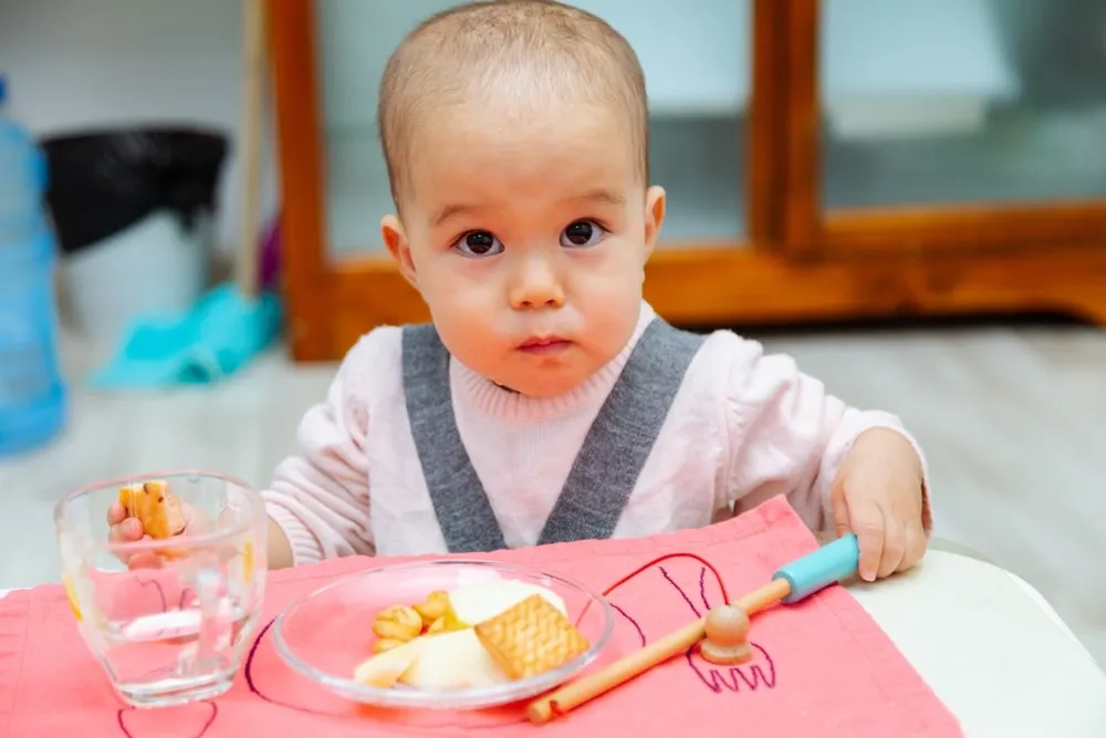 Toddler Meal Delivery
