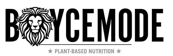 BoyceMode logo
