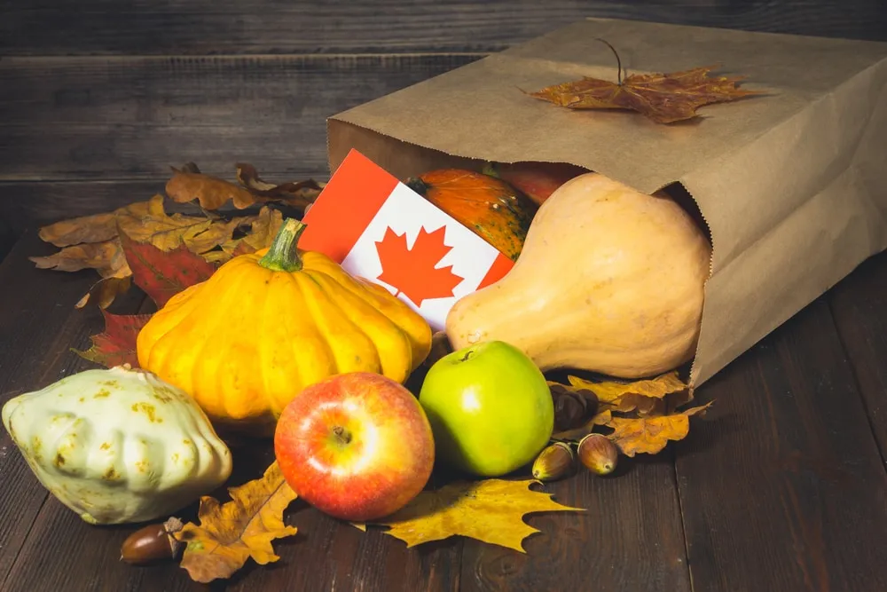 Vegan Meal Delivery Canada