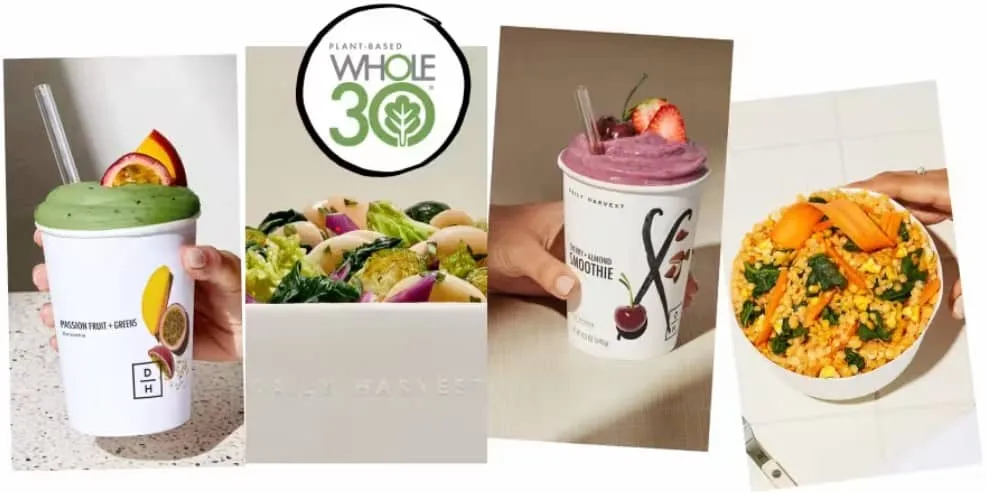 Daily Harvest plant based whole