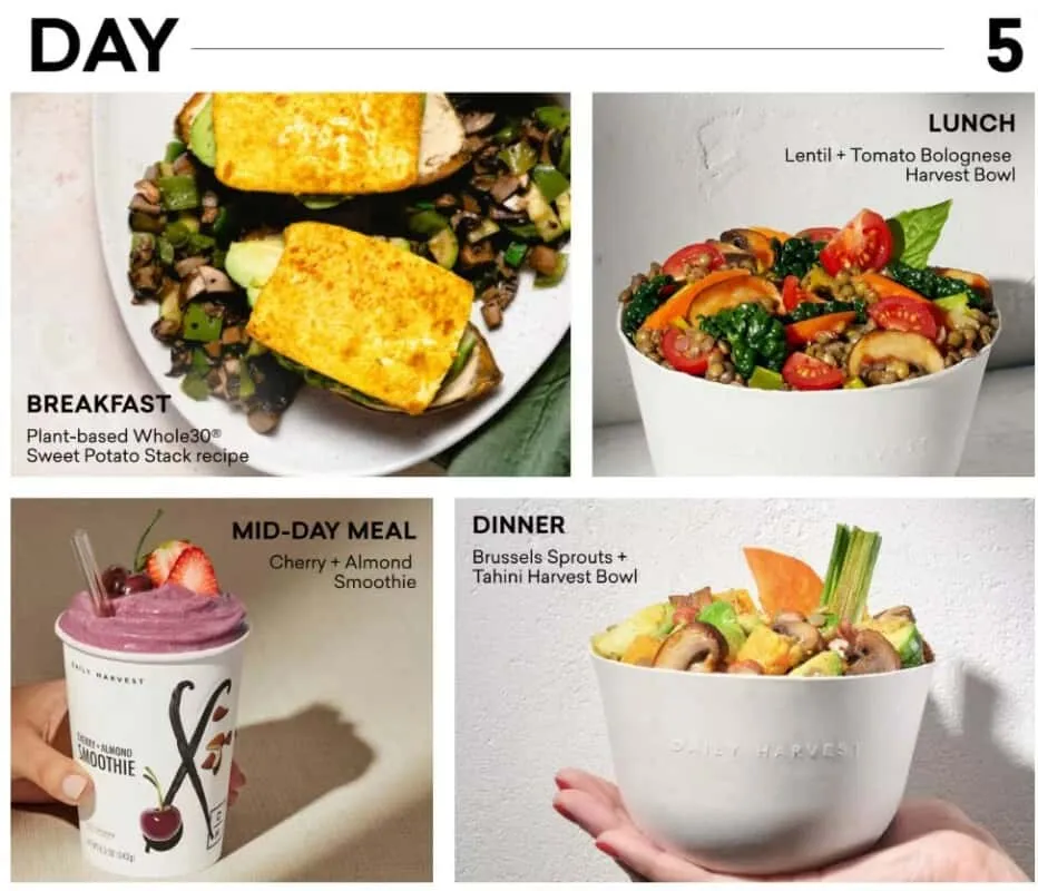 Daily Harvest sample day of meals